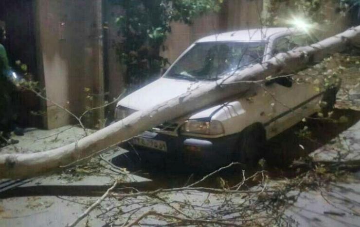 وقوع ۱۲ حادثه در پی وزش باد شدید در مشهد