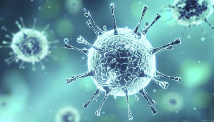 کشف ۳۰۰ ویروس با ترفندهای عجیب و غریب