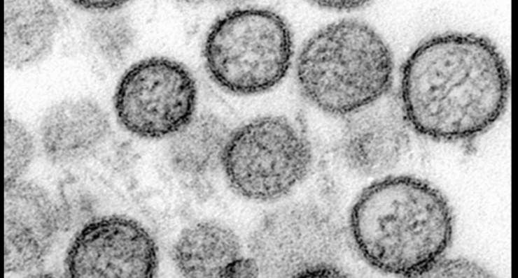 بر اثر ابتلا به ویروس هانتا، فردی در چین درگذشت
