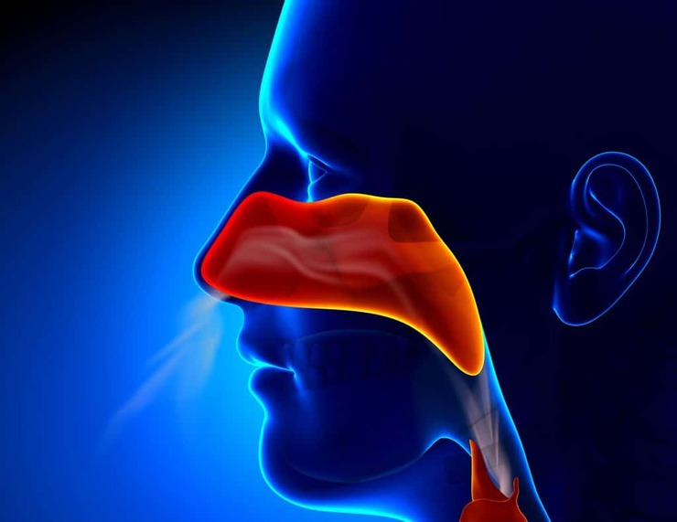 اختلال بویایی و چشایی از علائم احتمالی کرونا است