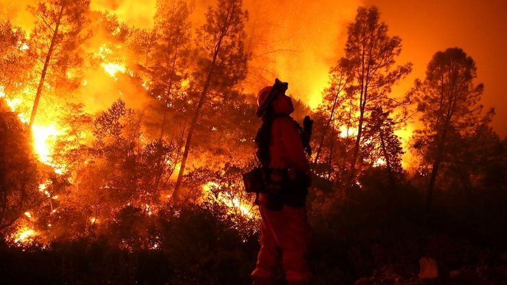 علت آتش سوزی‌های مکرر جنگل‌های ایران چیست؟