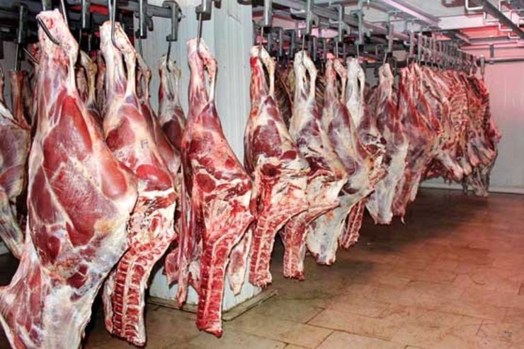 واردات گوشت قرمز با ارز دولتی صفر شد