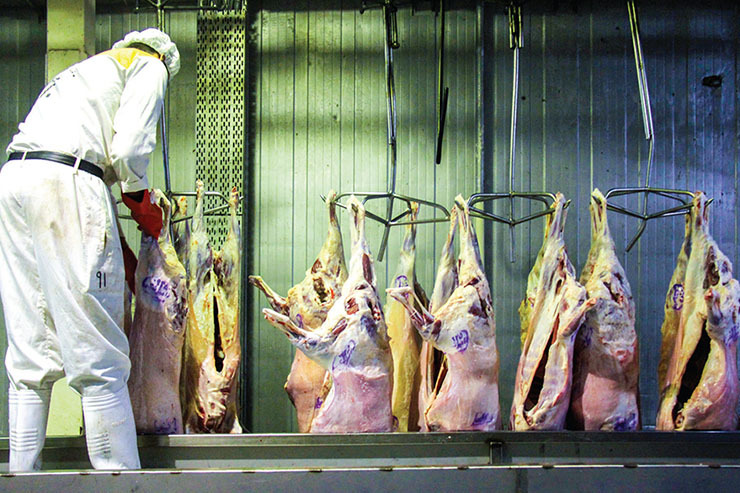 پیش‌بینی افزایش ناگهانی قیمت گوشت در ماه‌های آینده