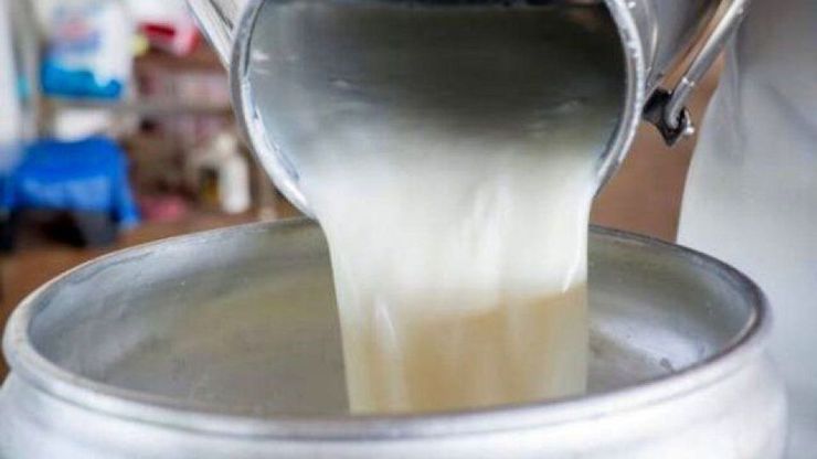 قیمت مصوب شیر خام هنوز به کارخانجات ابلاغ نشده است
