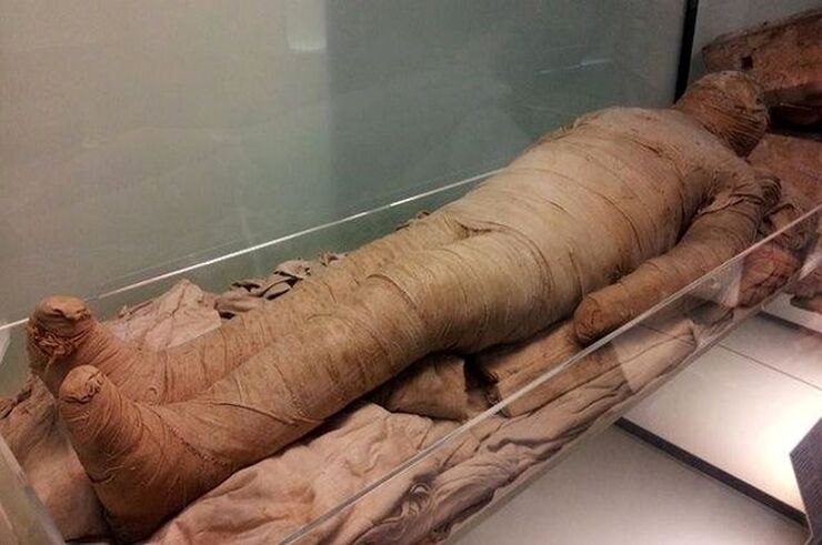 ویدئو |کشف مومیایی‌های۲۵۰۰ ساله در سقاره مصر
