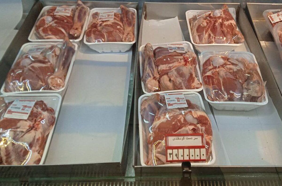 علت صف‌های طولانی خرید گوشت گرم وارداتی چیست؟ | حجم واردات گوشت بی‌سابقه است