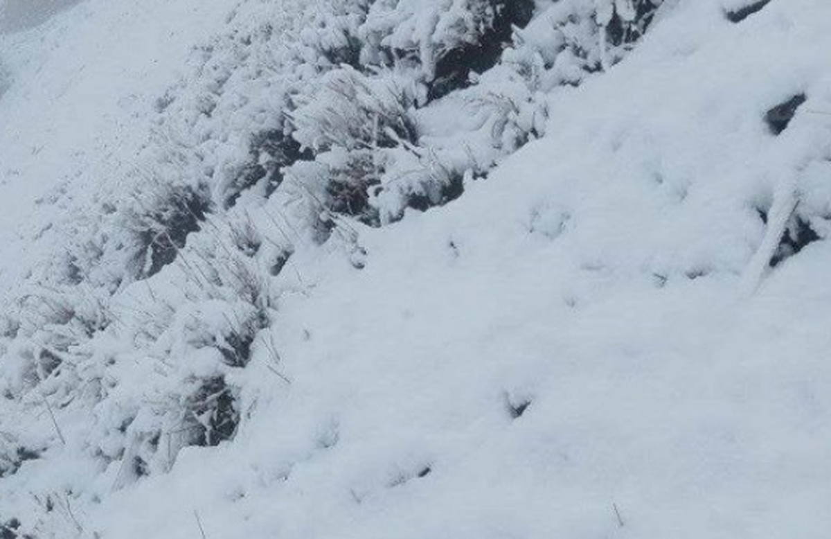 بارش شدید برف بهاری در قوچان و درگز + فیلم (۱۵ اردیبهشت ۱۴۰۲)
