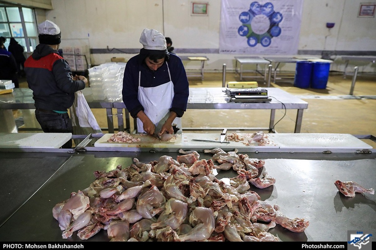 توقیف ۹۰۹ کیلوگرم گوشت منجمد بدون هویت در مشهد