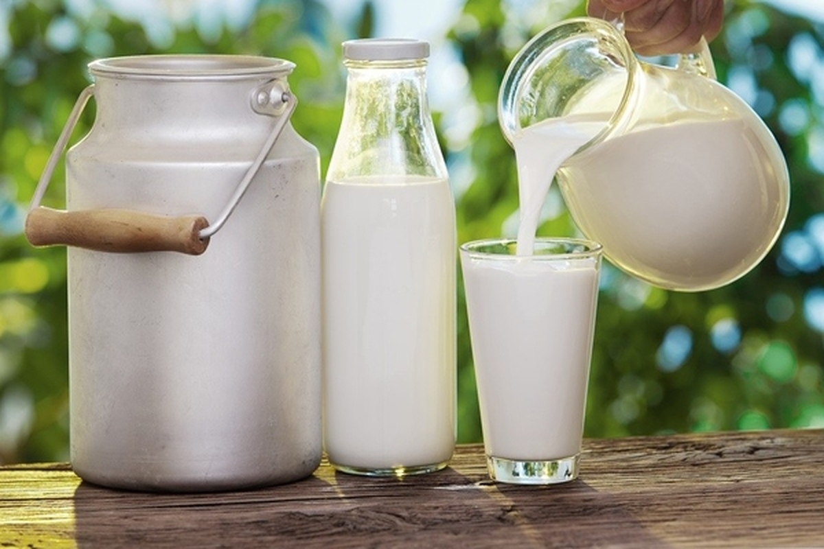 شیر پر چرب یا شیر کم چرب مصرف کنیم؟