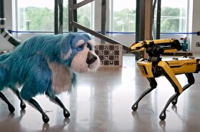 ویدئو | سگ رباتیک «بوستون داینامیکس» در لباس خزدار!