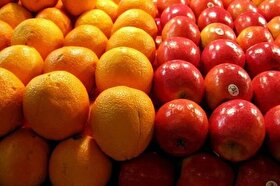 ضرورت صادرات ۲۰۰ هزار تن سیب و پرتقال