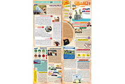 دوشنبه ۱۲ آبان ۱۴۰۴ | مترو