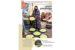 پنجشنبه ۲۲ آبان ۱۴۰۴ | منطقه ثامن