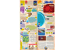 چهارشنبه ۲۸ آبان ۱۴۰۴ | مترو