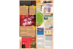 یکشنبه ۲ آذر ۱۴۰۴ | مترو