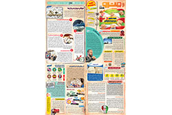 دوشنبه ۱۰ آذر ۱۴۰۴ | مترو