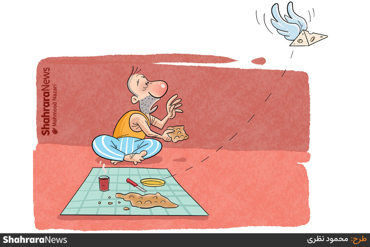 کارتون | قیمت لبنیات در حدود کمتر از پنج سال بیش از هفت برابر شده است