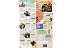 سه‌شنبه ۱ اردیبهشت ۱۴۰۵ | شهرآرا مترو