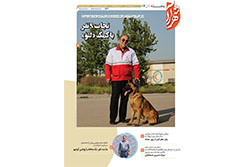 پنجشنبه ۱۷ اردیبهشت ۱۴۰۵ | مناطق ۱۱ و ۱۲
