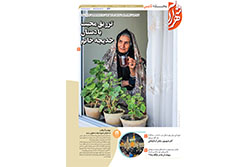 پنجشنبه ۱۲ شهریور ۱۴۰۵ | منطقه ثامن