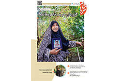 دوشنبه ۳۰ شهریور ۱۴۰۵ | مناطق ۵ و ۶