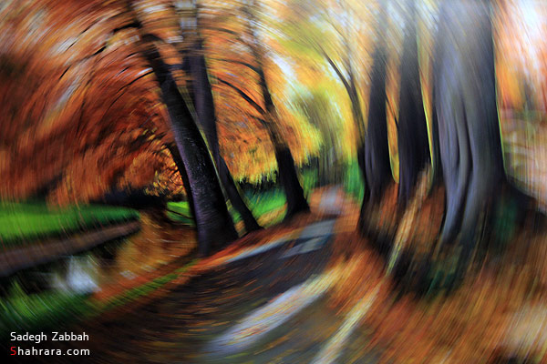 بازار هنر مشهد