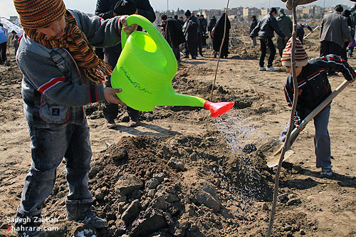 درختكاري با حضور مردم و مسئولان