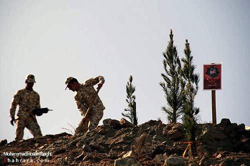 كاشت نهال به ياد شهدا