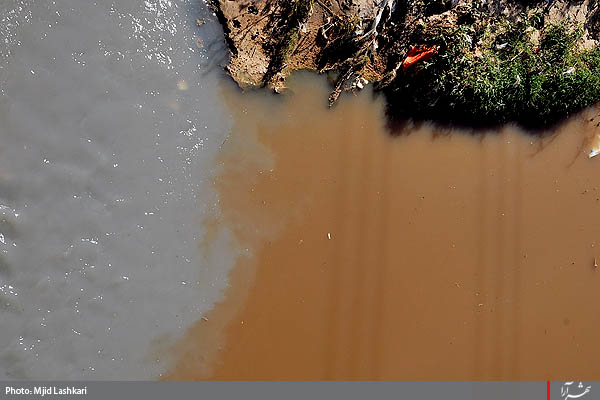 آبياري مزارع با فاضلاب در مشهد -2