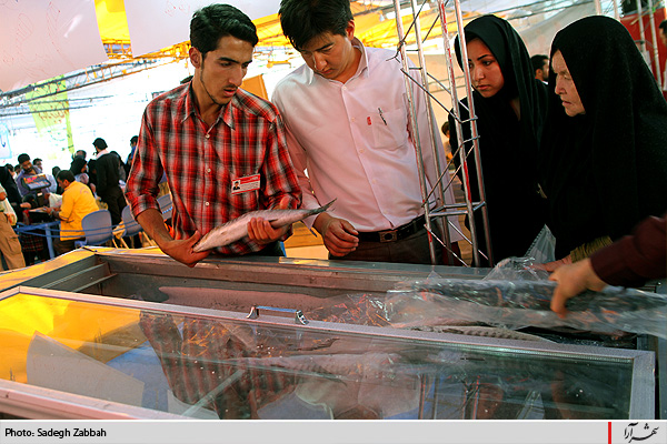 نمايشگاه عرضه مستقيم كالا