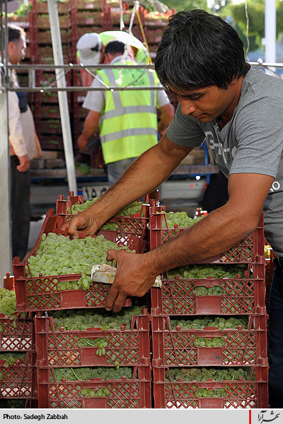 نمايشگاه عرضه مستقيم كالا 