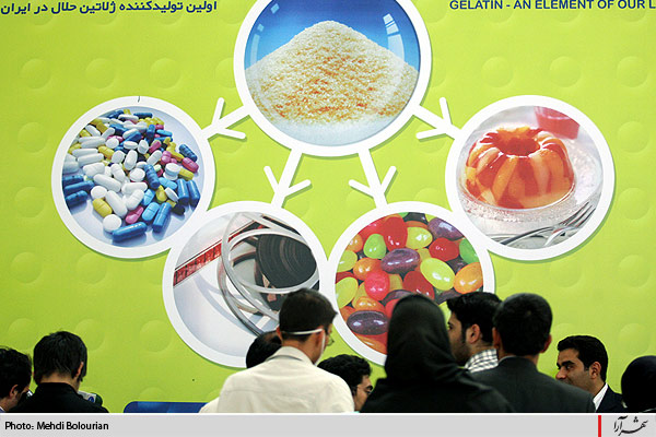 كارخانه توليد ژلاتين از استخوان