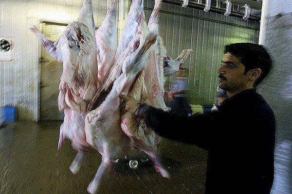 کشتارگاه دام 