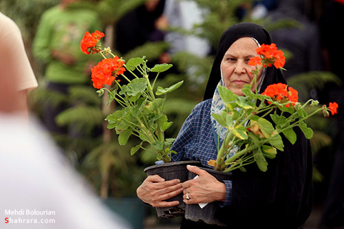 نمایشگاه گل و گیاه مشهد