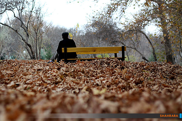 خداحافظی با پاییز....