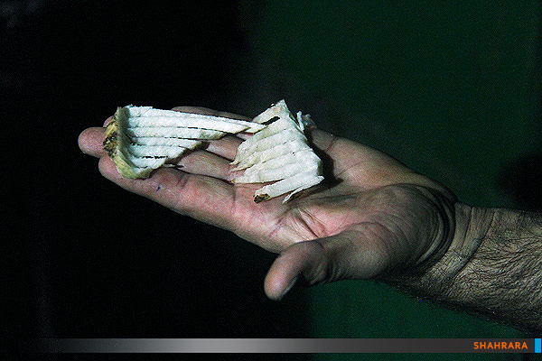 کارخانه تولید قند و شکر 