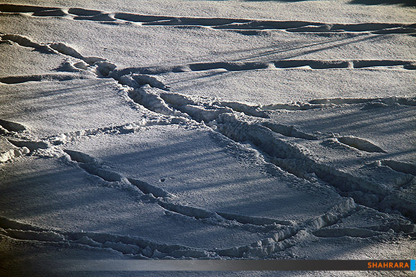 برف در بوستان رجا