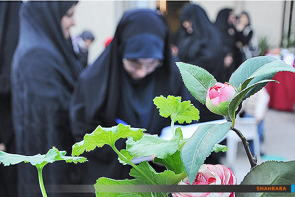 جشنواره گل و گیاه منطقه 4