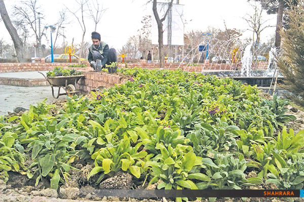 نو شدن پیش از نو شدن