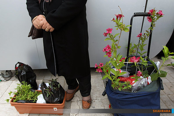 نهمین نمایشگاه گل و گیاه مشهد