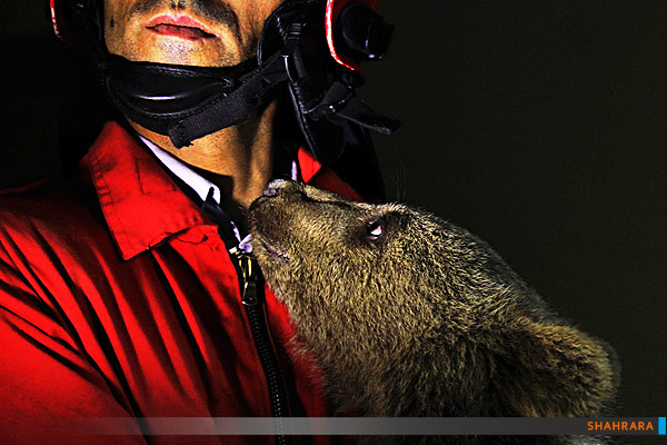 به دام افتادن 4 توله شیر و 2 توله خرس