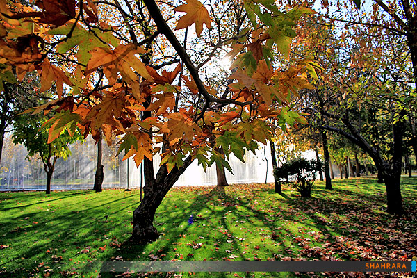 پاییز در پارک ملت