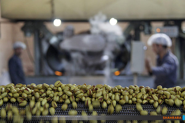 کارگاه تولید آجیل