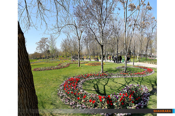 جشنواره گل های پیازی/2