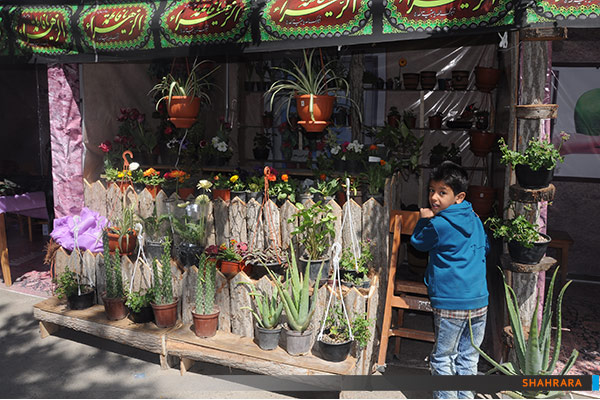بهار در بهار