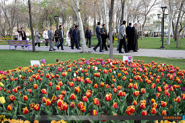 بازدید شهردار و اعضای شورا از جشنواره گل های پیازی