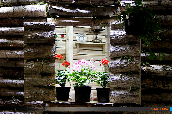  دوازدهمین نمایشگاه گل و گیاه مشهد