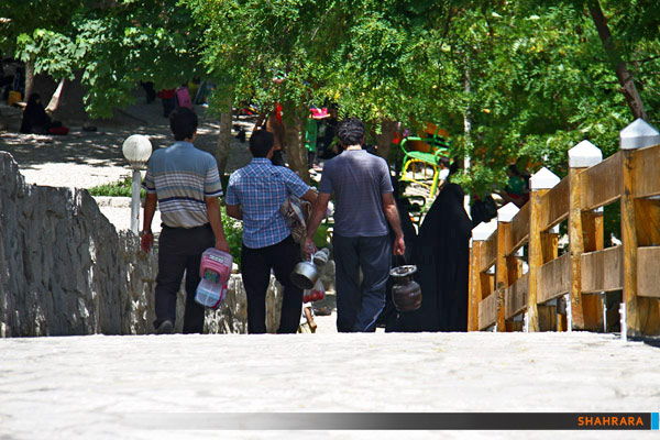 بوستان جنگلی وکیل آباد