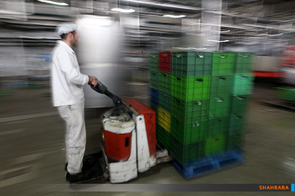 کارخانه تولید محصولات لبنی