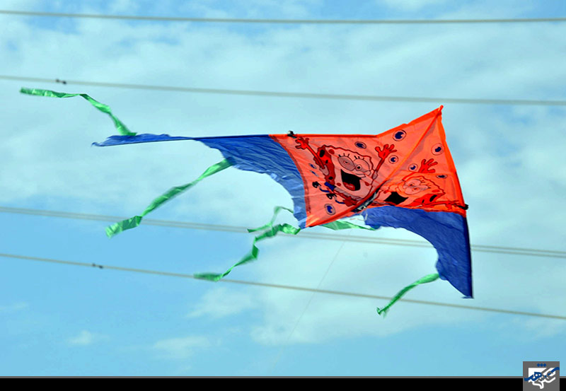 جشنواره باد بادکها